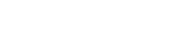 DeepSeek